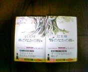 �X�̂Ȃ��̊C