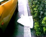 �Ђ����������S�~��