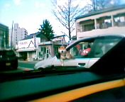 �F�J�łł�������