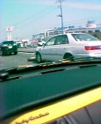 �a�؂Ŏ���