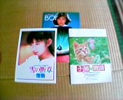 �V�����Ȃ��