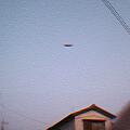 UFO�I�H�@�������A����s�D