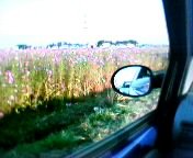 �R�X���X��