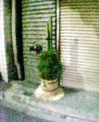 ������Ȃ�ł������Ǝv����叼