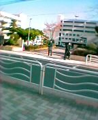 ��Ђ̑O�̋@����