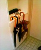 �P���ז����Ă��錺��