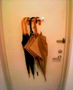 �P���邳�ꂽ���