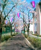 �����Y�a�w�O1