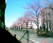 �����Y�a�w�O2