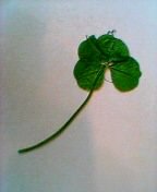 �l�t�̃N���[�o�[