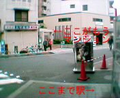 �w���猩���}���V�����̓����