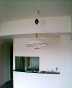 �_�C�j���O�p�_�E�����C�g