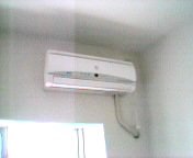 �����@���t������