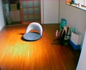 �K�����Ƃ�������