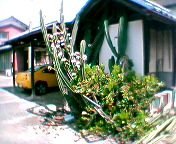 �L�ѕ���̃T�{�e��