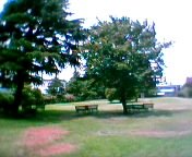 ��Ђ̖ڂ̑O�̌���