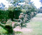 ���_�A�[�g