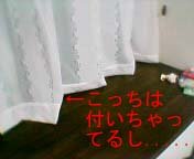 ��������Ă�.....