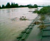 �ł��񂹂Ă܂�