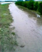 �D���炯�ł�