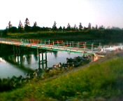 ���ꂪ���ʂ̏��