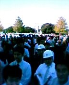 �{�[���Ƃ��Ă܂�