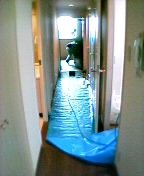 �z�[�X��������