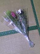 �Ԕ����ė��܂���