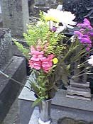 ����ɏ�����