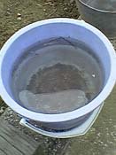 �����Ă܂���