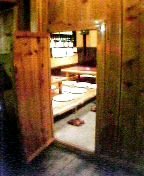 ���،˂̂悤�ȓ���