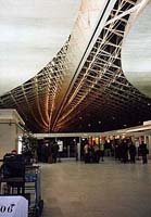 �V�������E�h�S�[����`