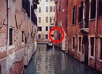 �S���h�����E�܋֎~�ł�