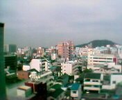 ���߂̓i�J�i�J