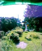 ���t�g�ɏ���ēo��܂�