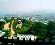 �V��t����̒���1