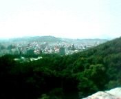 �V��t����̒���2