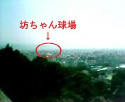 �V����񋅏�H