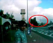 ����w�����Ă���