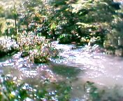 �������k��1