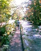 �������k��6