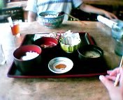 ���Ă���H