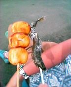 ���񂲂ƈ��̉��Ă�