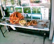 ���̂������فI�H �z���g�͊������