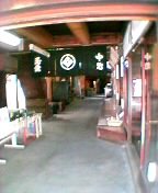 ���̓�������������