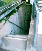 �K�i���̂P