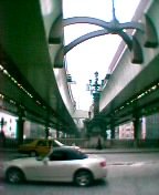 ���{���Q