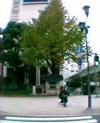 ��s���e�̋L�O��