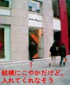 �t�F���K���̍���