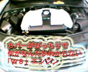 VW W8�G���W��